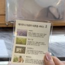 늘조은미용실 | 광주 용산지구 미용실 제이주니헤어 전체 매직 후기