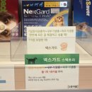 웃음짓는약국 네이버블로그