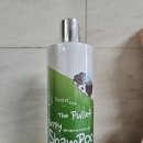 퍼피포레스트 | 시츄 피부 고민 끝 포레스트 허그 더 퓨리프 퍼피 샴푸 솔직 후기 저자극 강아지샴푸 추천
