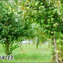 신장농장 이미지