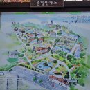 휴먼스토리 보고 다녀온 베어트리파크 후기