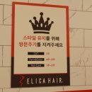에리카헤어 이미지
