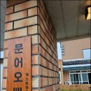 감귤게스트하우스 | 제주 협재 파티게스트하우스 문어오빠 혼자여행 (후기/주차/비용)