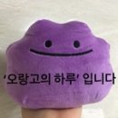 주연네연탄곱창구이 이미지