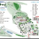 야생초마을아미골 이미지