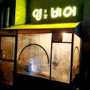 영스비어 이미지