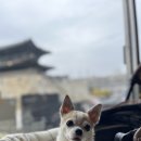 카페젤라 - 용산구 우사단로10가길 10 | 카페젤라