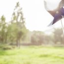 하늘빛어린이집[아이행복] 이미지