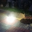 원주아파트 이미지