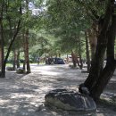 장천마을캠핑장 이미지