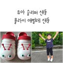 뮬라이