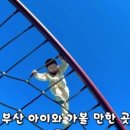 금정체육공원_꿈나래어린이극장 네이버블로그