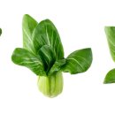 인헌동-3 이미지