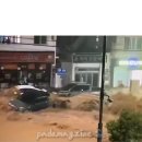 폭우로 인해 난리난 거제, 한화 김승연 회장의 품격 이미지