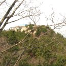 장재삼거리 이미지