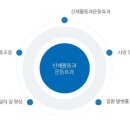 경희대안화태권도장 이미지