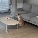 HoEat(호잇) 이미지