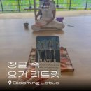 떡사롱 | 새해맞이 요가 리트릿. 발리 정글 속 낙원에서의 4일