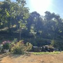 만수농장 | 인천 남동구 치유농장, 문가숲길을 걷다.