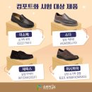㈜금화 | 남성 컴포트화 추천 락포트 허시파피 미소페 제옥스 랜드로바 듀퐁슈즈 소다 이재용 신발
