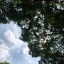 오유정네일