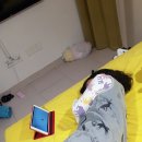 금오도마차 이미지