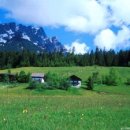 Home , home on the range 이미지