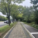 홈플러스 인천연수점 | 몬스터맥시멈 후기 버거킹 칼로리 인천 연수구 홈플러스 매장