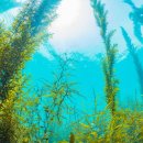 김치환축사 이미지