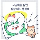 한국전통문화...개와 고양이 ​...한국토종견 이미지