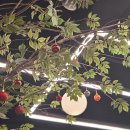 오목천 | 수원 장어 무한리필 오목천역 맛집 방문 후기 !