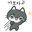 고양이미용 캣어스 이미지