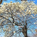 거양길-2 이미지