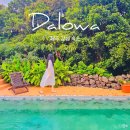 제주달로와 | 제주 동쪽 감성 숙소 달로와 표선 독채 가족펜션