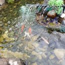 별내효성해링턴코트 이미지