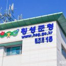 횡성군청사 이미지