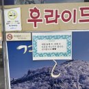 마포구청역 근처 옛날통닭맛집, 피노키오 치킨 솔직 후기