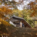 화경축산 Daum카페