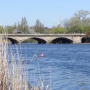 하이드파크 이미지