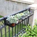 (주)대운코리아 이미지