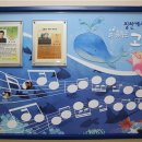 춤추는 고래 이미지