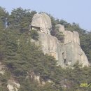부영골 이미지