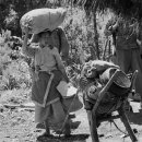 시민회관 공연장 앞 이미지