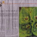 중앙스캔 이미지