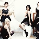 헤어아레아 얼루어코리아