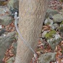 폭포가든 이미지