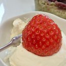 하이커피 이미지