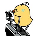 감성 피티 이미지