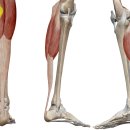 건강체형교실 이미지