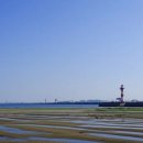 잘차려진 바다 이미지